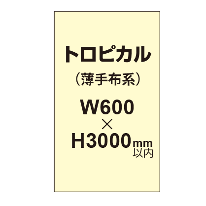 トロピカル （薄手布系）【W600～H3000mm以内】
