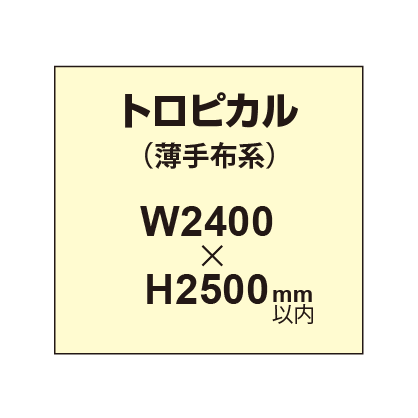 トロピカル （薄手布系）【W2400～H2500mm以内】