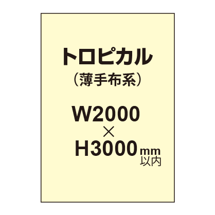 トロピカル （薄手布系）【W2000～H3000mm以内】