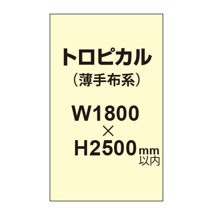 トロピカル （薄手布系）【W1800～H2500mm以内】