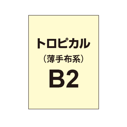 トロピカル B2（薄手布系）