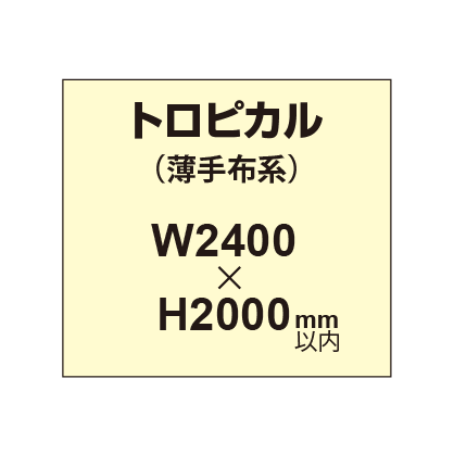 トロピカル （薄手布系）【W2400～H2000mm以内】