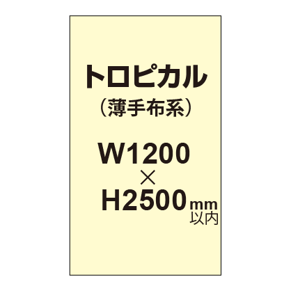 トロピカル （薄手布系）【W1200～H2500mm以内】